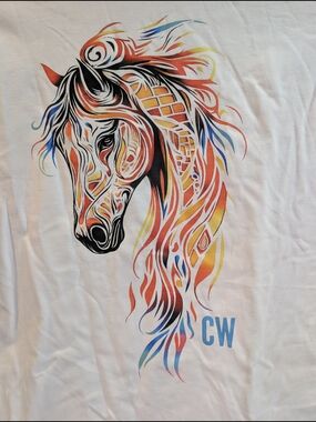 Custom CW Colorful Horse Artwork TShirt Size Med